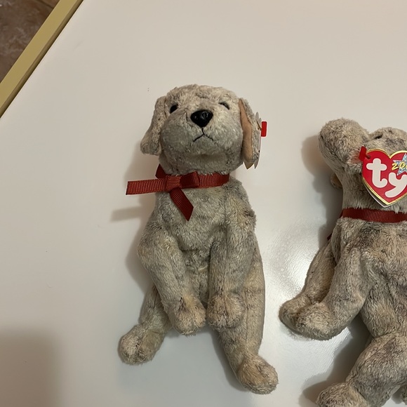 Ty Beanie Baby * Tricks * Date of Birth: May 14, 2000 - Picture 3 of 9